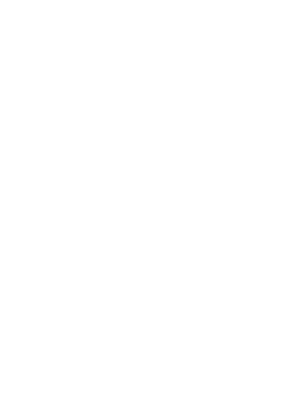 Petrol System